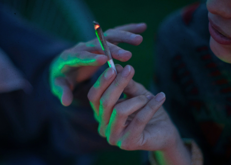 Heavy Cannabis Use May Be Doing the Opposite of What You Want, Scientists Say
