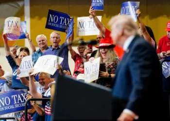 ‘He believes his own voters are suckers’: Analyst exposes Trump’s contempt for supporters