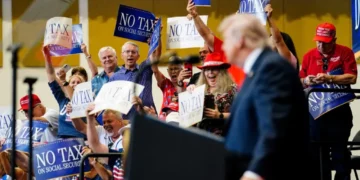 ‘He believes his own voters are suckers’: Analyst exposes Trump’s contempt for supporters