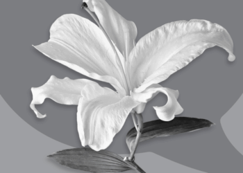 What to Say When Someone Has a Miscarriage—And What to Avoid