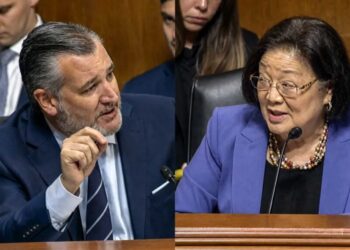 Ted Cruz snaps as Dem invokes  famous 2013 clash: ‘You’re not Dianne Feinstein’