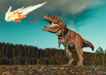 Something Ate the Dinosaurs After the Asteroid Killed Them, Scientists Say