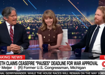 ‘What?’ CNN panel busts out laughing at GOP pundit defending Trump’s ‘bird law’ war
