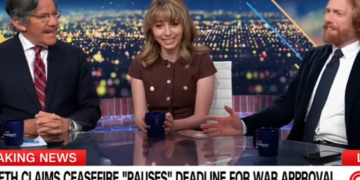 ‘What?’ CNN panel busts out laughing at GOP pundit defending Trump’s ‘bird law’ war