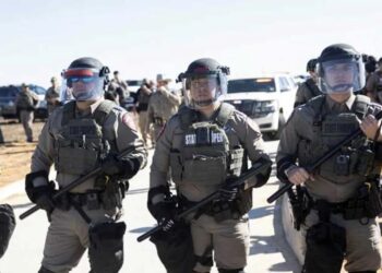 Mass deportations are killing jobs for Americans: new study