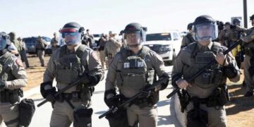 Mass deportations are killing jobs for Americans: new study
