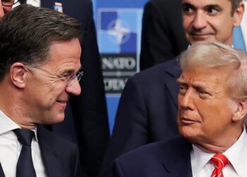 Trump ‘dumped’ too much ‘poison’ into critical US alliance to save it: ex-GOP strategist