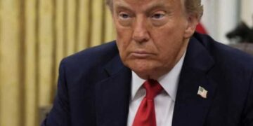 ‘Damn this regime to hell’: Firestorm as Trump DHS bulldozes millennium-aged cultural site