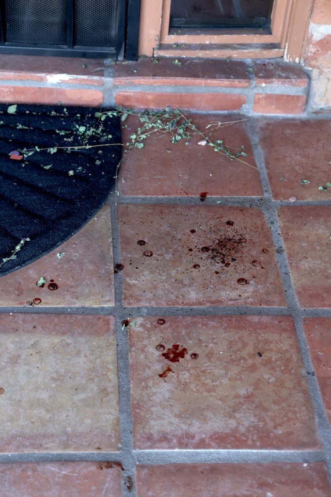 Possible blood spatter on the terracotta tiles of Nancy Guthrie's front porch.