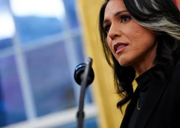 Tulsi Gabbard may soon haunt Trump admin in court: analyst