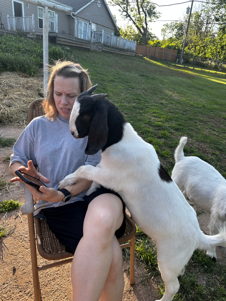 A woman shows a goat photos on her cellphone