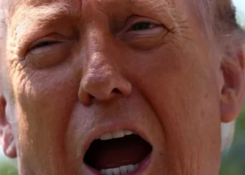 ‘Wasting time’: GOP insiders sound alarm on Trump’s focus