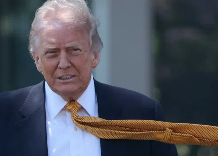 ‘Thank goodness!’ Trump’s startling admission about the economy mocked by analyst
