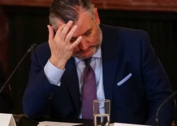 Ted Cruz gets all he can manage in heated exchange with TMZ reporter