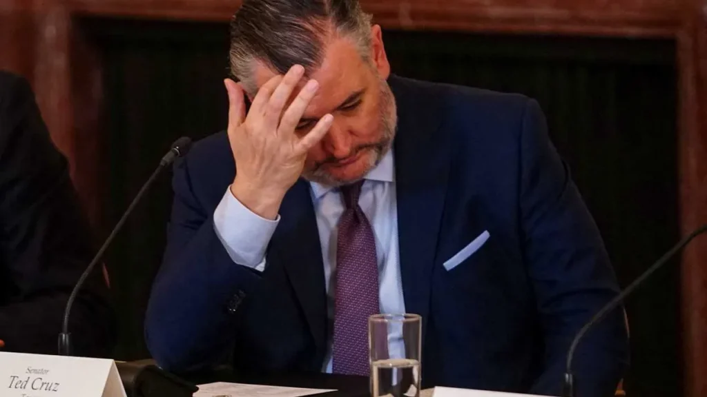 Ted Cruz gets all he can manage in heated exchange with TMZ reporter