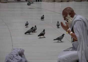Muslims begin Hajj in sweltering heat against a backdrop of war