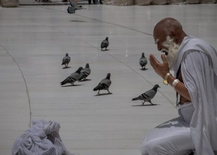 Muslims begin Hajj in sweltering heat against a backdrop of war