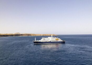 Deadly hantavirus outbreak strikes luxury cruise. What you should know about the disease