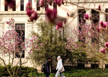 Trump administration again suspends UC Berkeley research grants