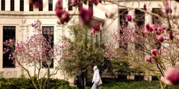 Trump administration again suspends UC Berkeley research grants