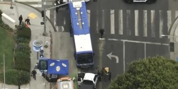 Woman killed in Santa Monica after crawling under Metro bus