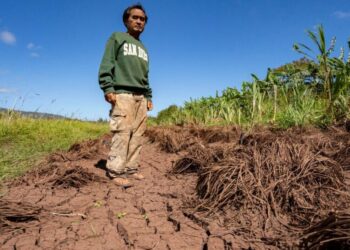Hawaii’s worst flooding in 20 years leaves farmers struggling and fewer veggies at markets
