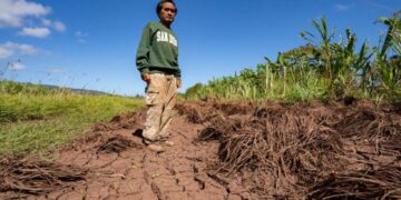 Hawaii’s worst flooding in 20 years leaves farmers struggling and fewer veggies at markets