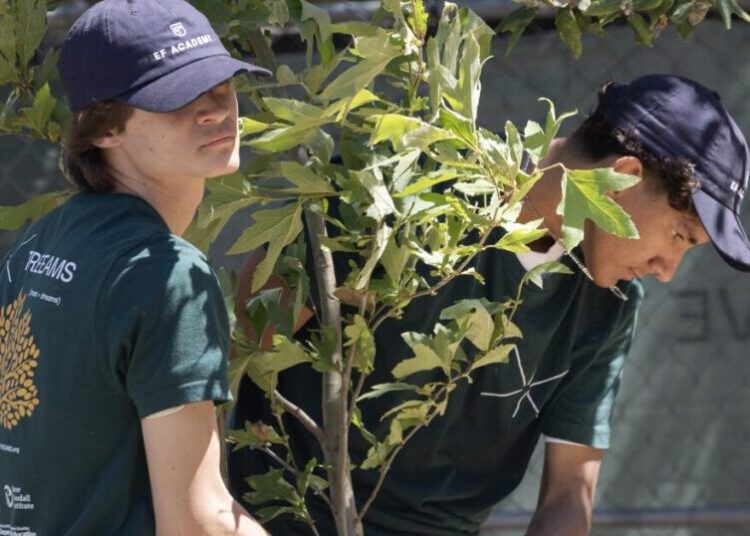 Inspired by Jane Goodall, students build nurseries to reforest L.A.’s fire-scorched communities