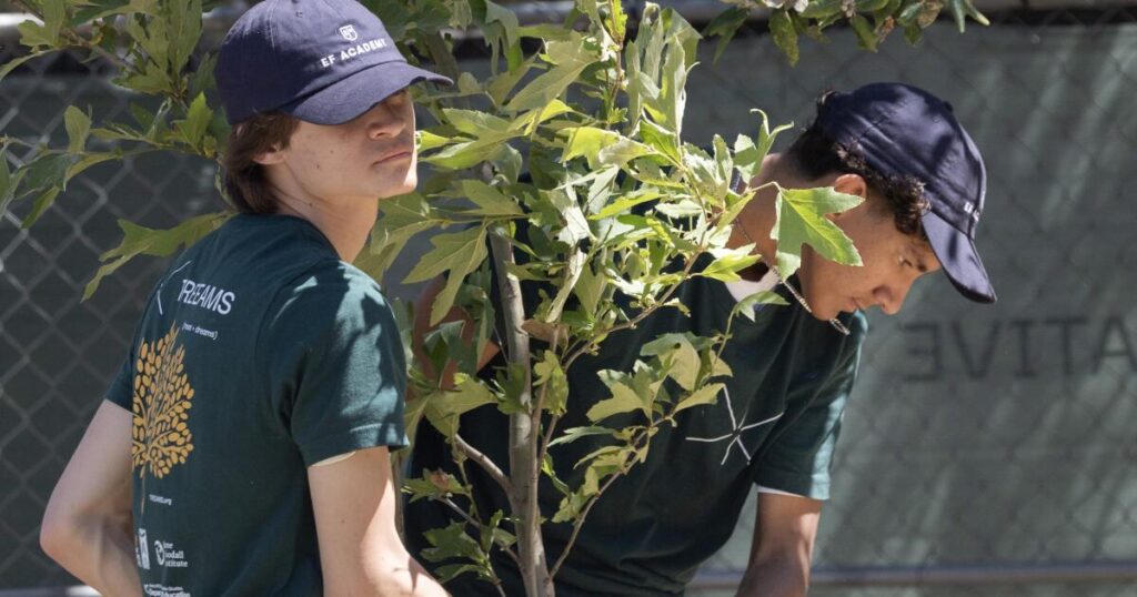 Inspired by Jane Goodall, students build nurseries to reforest L.A.’s fire-scorched communities