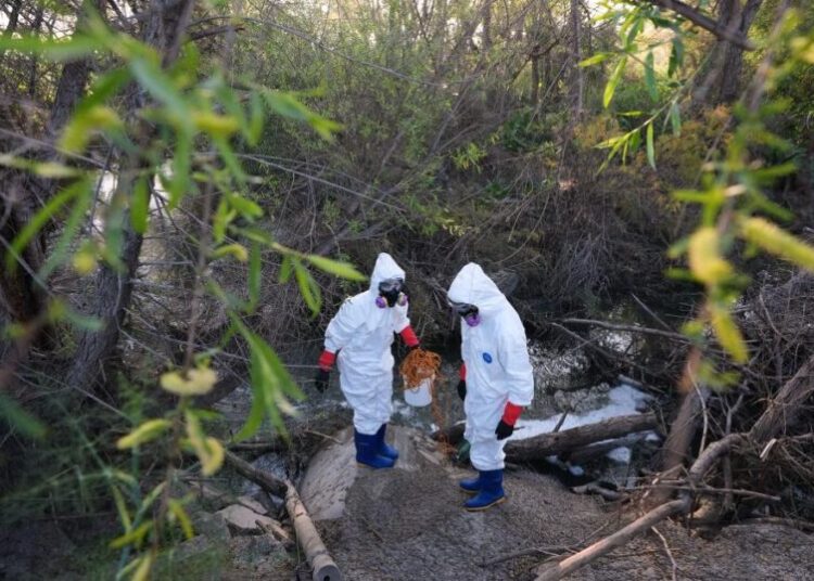 Physicians, politicians, activists call for emergency declaration on the Tijuana River