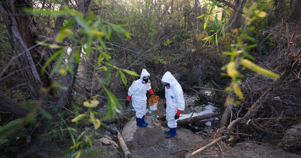 Physicians, politicians, activists call for emergency declaration on the Tijuana River