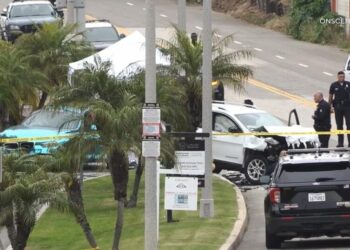 Two dead, including 1-year-old, in Playa Del Rey hit-and-run crash