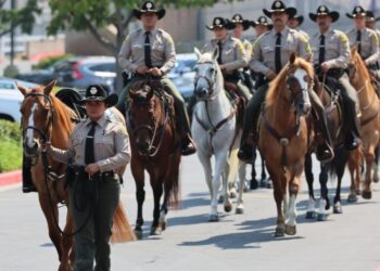 After grenade kills 3 L.A. sheriff’s detectives, D.A. considers charges. Against who isn’t clear