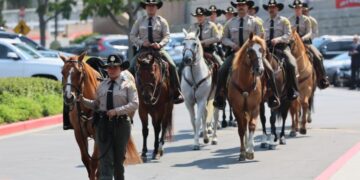 After grenade kills 3 L.A. sheriff’s detectives, D.A. considers charges. Against who isn’t clear