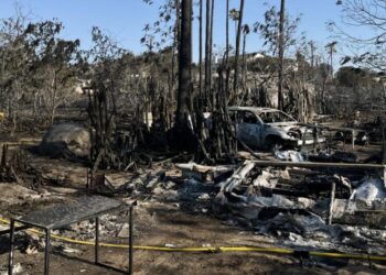 Raging fire burned millions of his bees. But what comes next really worries him