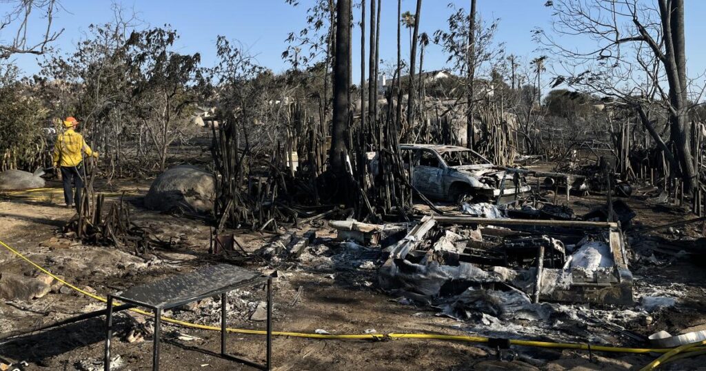 Raging fire burned millions of his bees. But what comes next really worries him
