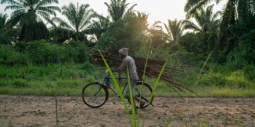 Islamic militants attack Congo villages near Uganda, killing 40 people, local group says