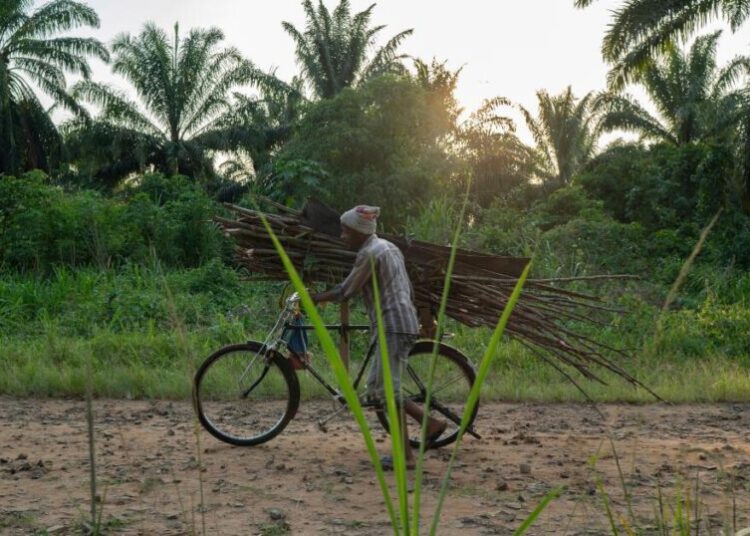 Islamic militants attack Congo villages near Uganda, killing 40 people, local group says