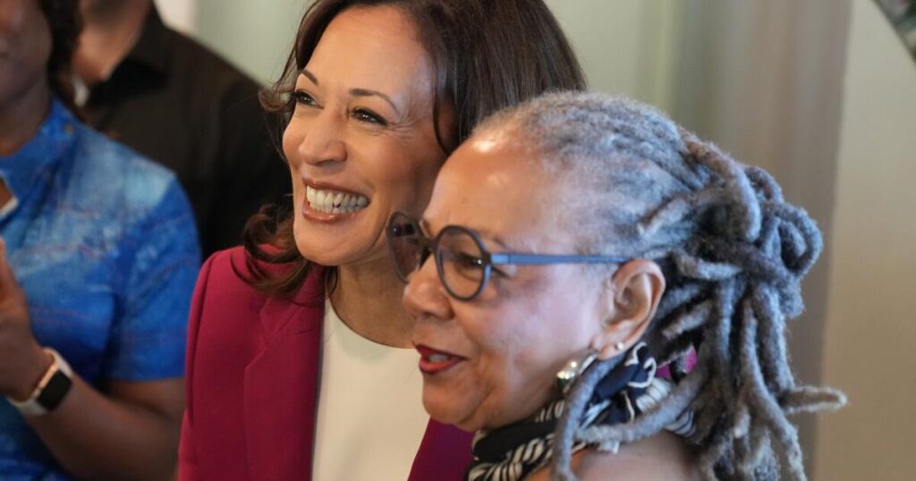 Big donors backed Harris in 2024. For 2028, they’re not so sure