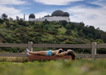 Feel a bit crowded at the park? Why L.A. park spaces comes up short