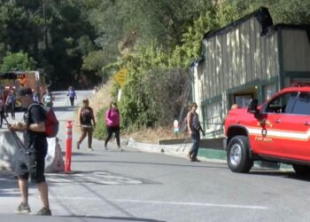 Mt. Wilson trail hiker dies following steep ravine fall