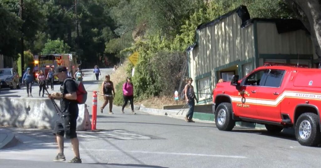 Mt. Wilson trail hiker dies following steep ravine fall