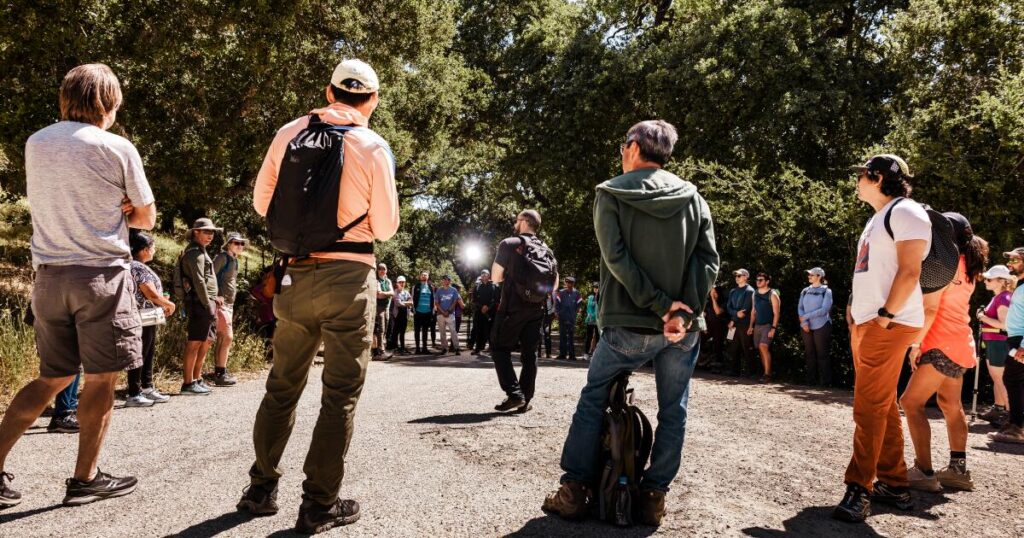 ‘Brutal’: Growing tribe of jobless techies is stuck in Silicon Valley’s new reality