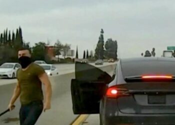 Tesla driver infamous for California road rage attacks goes to prison for another one in Hawaii