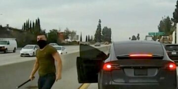 Tesla driver infamous for California road rage attacks goes to prison for another one in Hawaii