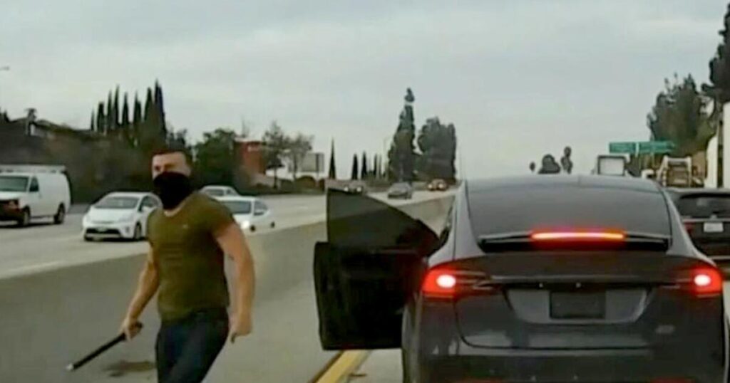 Tesla driver infamous for California road rage attacks goes to prison for another one in Hawaii