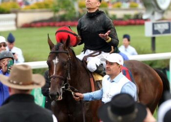 Dodgers pitcher, horse racing jockeys linked to cockfighting in Puerto Rico