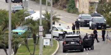 Arrest made in Playa del Rey hit-and-run that killed man and his 1-year-old nephew