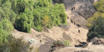 Fire-prone California could lose hundreds of millions of dollars for wildfire prevention