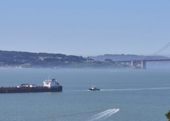 Scientists bet on AI to save gray whales from ship strikes off California coast
